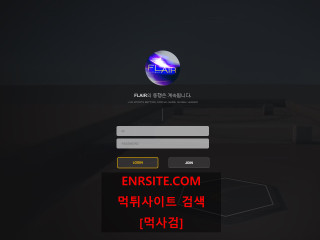 플레어.FLAIR