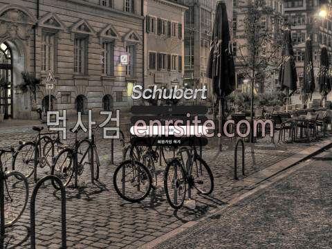 슈베르트 sc-2021.com
