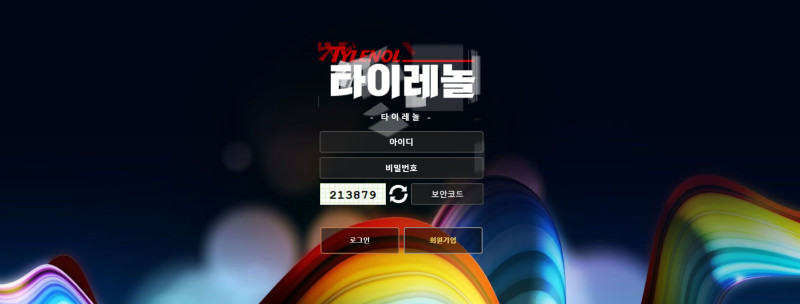 타이레놀.2