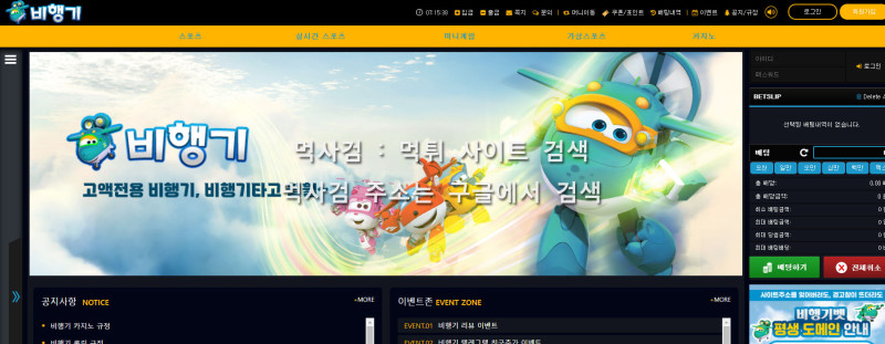 비행기.4.스포츠