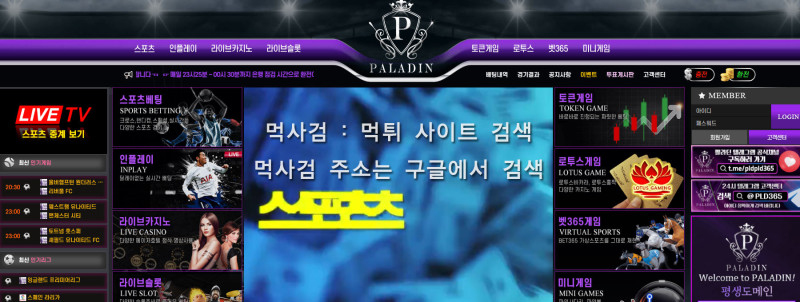 팔라딘주소.com 팔라딘주소.net