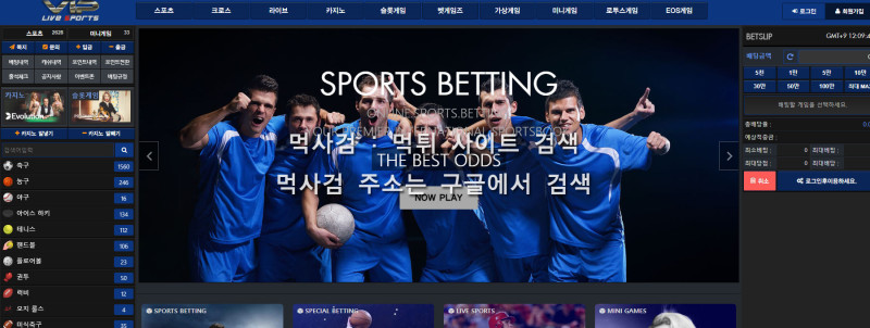 브이아이피.16