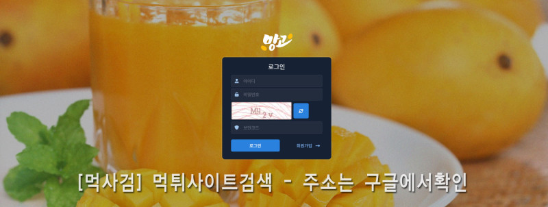 망고.20