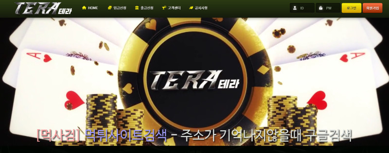 테라 tera